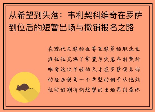 从希望到失落：韦利契科维奇在罗萨到位后的短暂出场与撤销报名之路