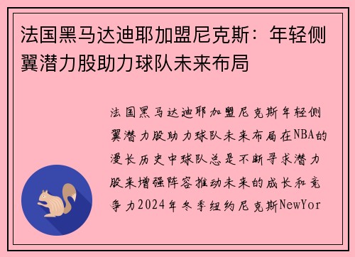 法国黑马达迪耶加盟尼克斯：年轻侧翼潜力股助力球队未来布局