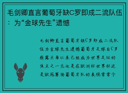 毛剑卿直言葡萄牙缺C罗即成二流队伍：为“金球先生”遗憾